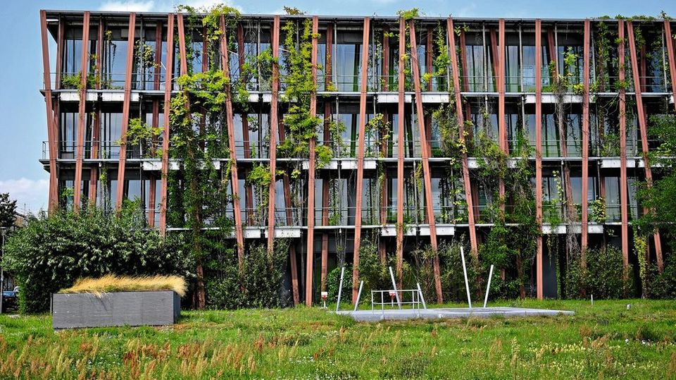 GrŸne Fassade des Instituts fŸr Physik der HU Berlin am 21.07.2017 am Wissenschafts- und Wirtschaftsstandort Adlershof in Berlin. Regenwasser wird in Zisternen gesammelt und zur BewŠsserung der FassadenbegrŸnung und zur Erzeugung von VerdunstungskŠlte d... Ein begrüntes Wohnhaus