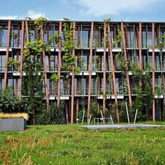Ein begrüntes Wohnhaus