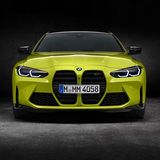 Große Nüstern helfen bei der Kühlung