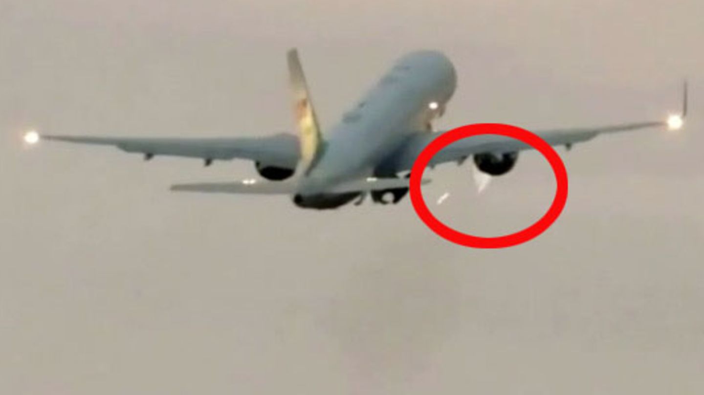 News im Video Vogel gerät in Triebwerk der Air Force Two STERN.de