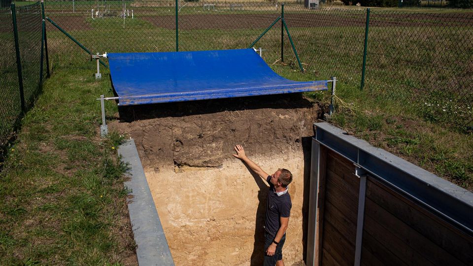 Trockener Boden (FINAL) >> Dr. Thomas Reitz erklärt ein Bodenprofil. Die Global Change Experimental Facility ist das erste Experiment, das die Auswirkungen des Klimawandels auf Ökosystemprozesse in verschiedenen Landnutzungstypen auf großen Feldp... Dr. Thomas Reitz erklärt ein Bodenprofil