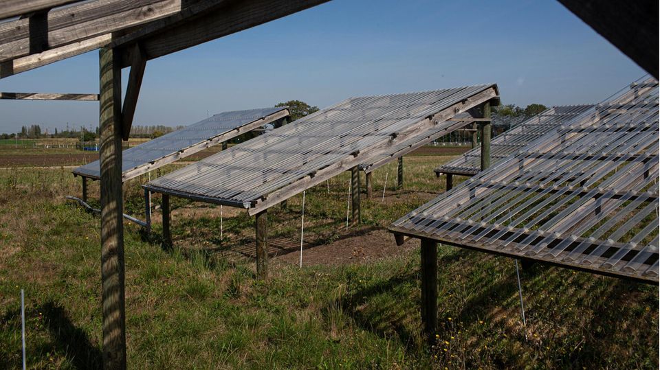 Trockener Boden (FINAL) >> Das Experiment Drought Net. Hiermit wird weltweit an verschiedenen Standorten die Auswirkung des Klimawandels auf Grasland untersucht. Die Global Change Experimental Facility ist das erste Experiment, das die Auswirkung... Überdachte Versuchsflächen im Rahmen des Experiments Drought Net