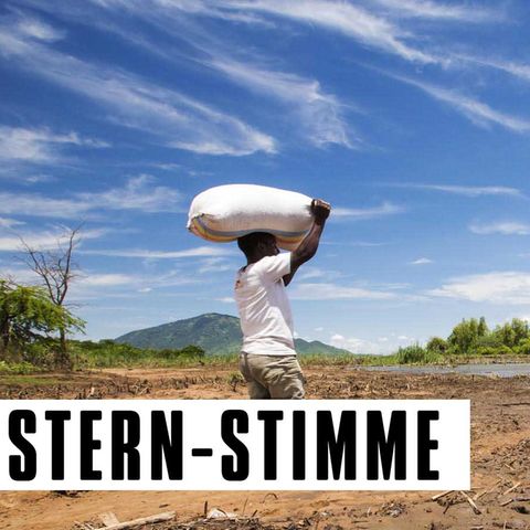 Seit 1990 ist das Wichtigste über die Klimakrise bekannt, und trotzdem wurde in den vergangenen 30 Jahren mehr als die Hälfte der jemals von Menschen verursachten Emissionen ausgestoßen (Symbolbild)