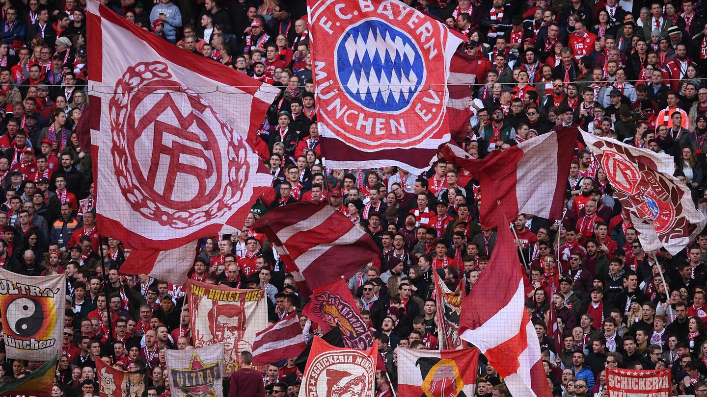 "Das Gesamtbewusstsein ist leider unterentwickelt": Klimasünder Fußball-Fans