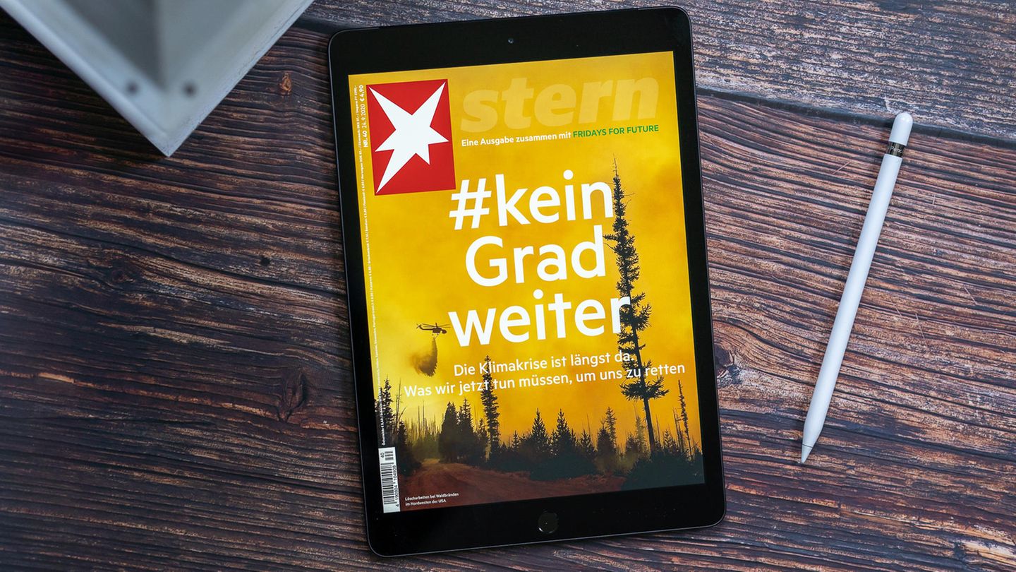 Das Display des iPad 8 misst 10,2 Zoll.