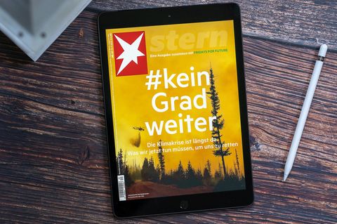 Das Display des iPad 8 misst 10,2 Zoll.