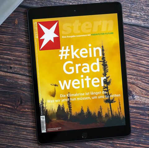 Das Display des iPad 8 misst 10,2 Zoll.