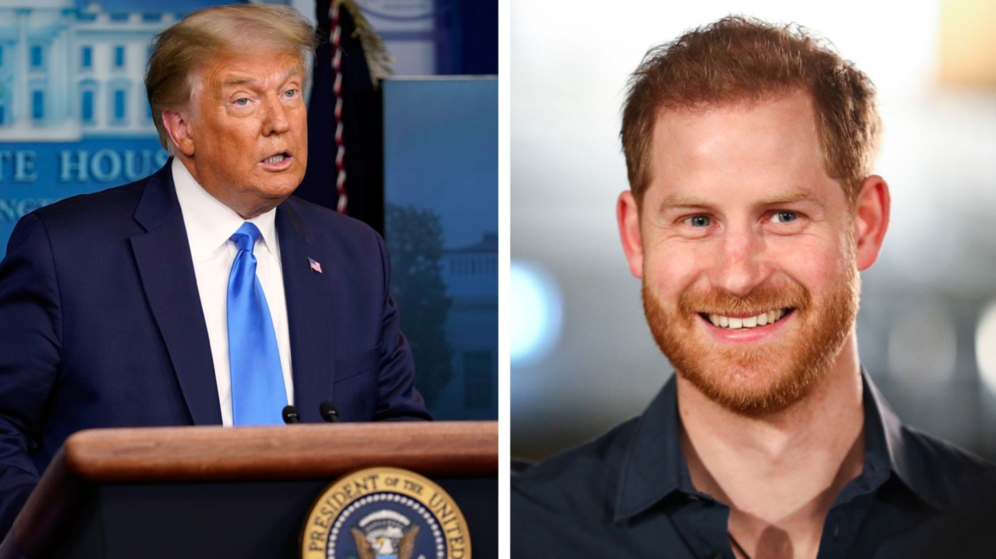 Donald Trump kritisiert Prinz Harry