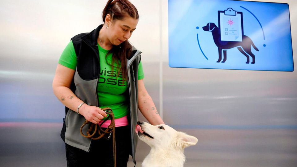 Am Helsinki Airport: Die trainierten Hunde sollen Reisende mit Covid-19 erschnüffeln