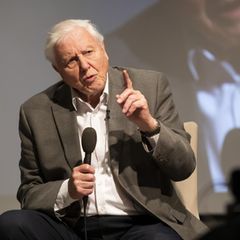 David Attenborough veröffentlicht erstes Video auf Instagram