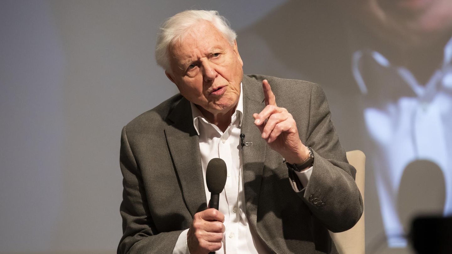 David Attenborough veröffentlicht erstes Video auf Instagram