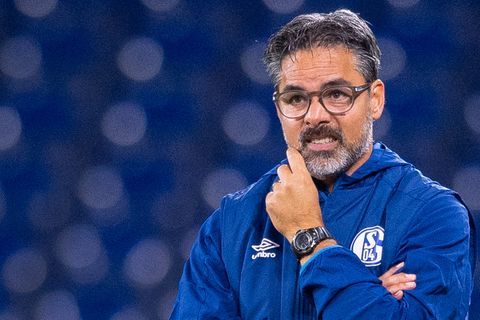 In blauer Trainingsjacke mit Logo des FC Schalke 04 steht David Wagner im Stadion und verzieht das Gesicht