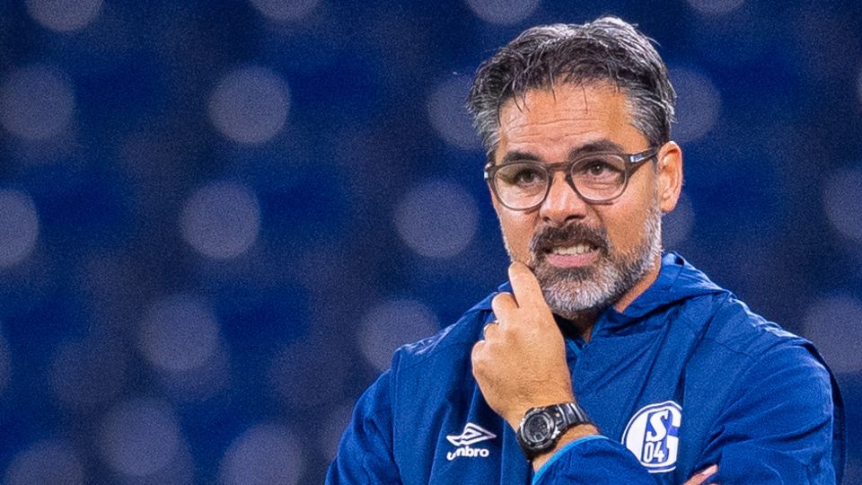 David Wagner FC Schalke 04 In blauer Trainingsjacke mit Logo des FC Schalke 04 steht David Wagner im Stadion und verzieht das Gesicht