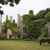North Berwick, Schottland: Seacliff House  Dieser Palast brannte schon 1907 nieder. Dabei kam auch der Erbe des Anwesens ums Leben. Nur die Struktur blieb mit Außenmauern und Kaminen blieb übrig, die jetzt von der grünen Natur überwuchert wird.