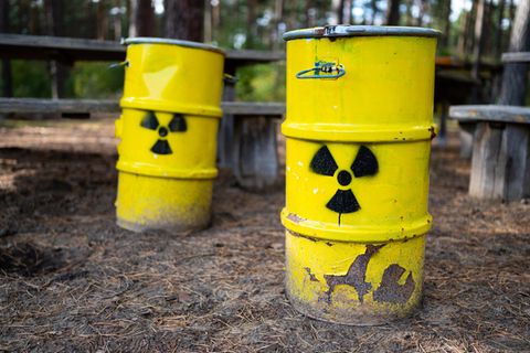 Symbolische Atommüllfässer stehen unweit vom ehemaligen Erkundungsbergwerk Gorleben im Wald