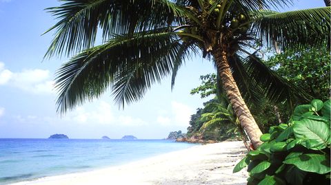 Insel Ko Chang: Thailands strikte Anti-Verleumdungsgesetze werden von Menschenrechtsaktivisten scharf kritisiert 