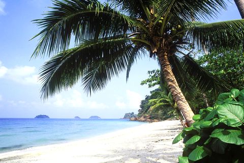 Insel Ko Chang: Thailands strikte Anti-Verleumdungsgesetze werden von Menschenrechtsaktivisten scharf kritisiert 