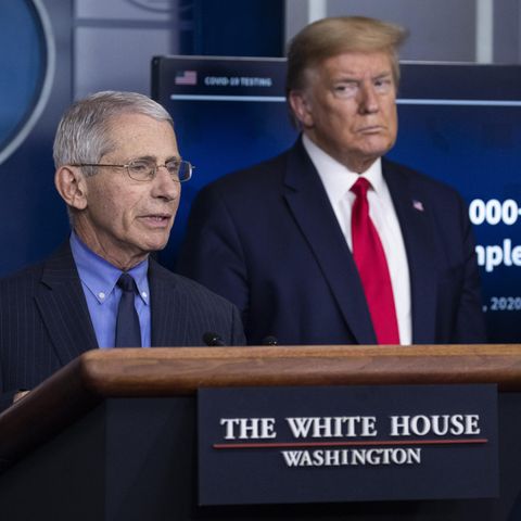 US-Wahlkampf: Trumps Corona-Berater Anthony Fauci: "Ich halte mich an die Wissenschaft. Egal was die Politik sagt"