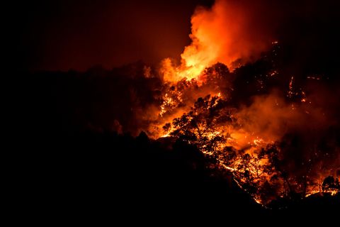 Brand im Napa Valley, Kalifornien