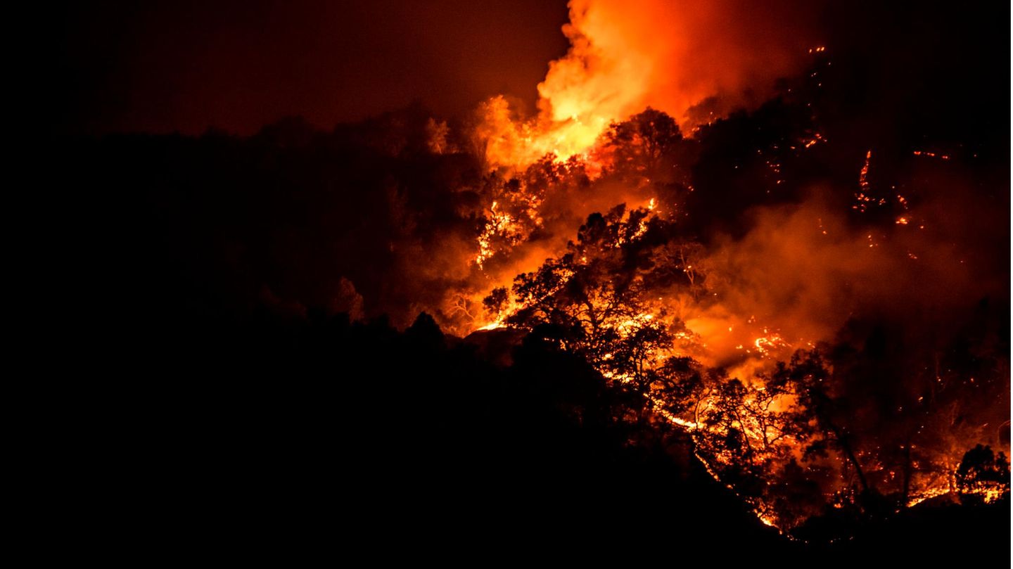 Brand im Napa Valley, Kalifornien