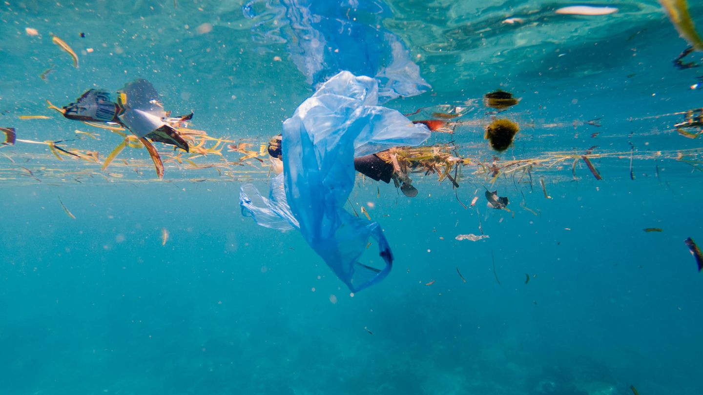 Für plastikfreie Meere bis 2050: Staatschefs geben Versprechen ab
