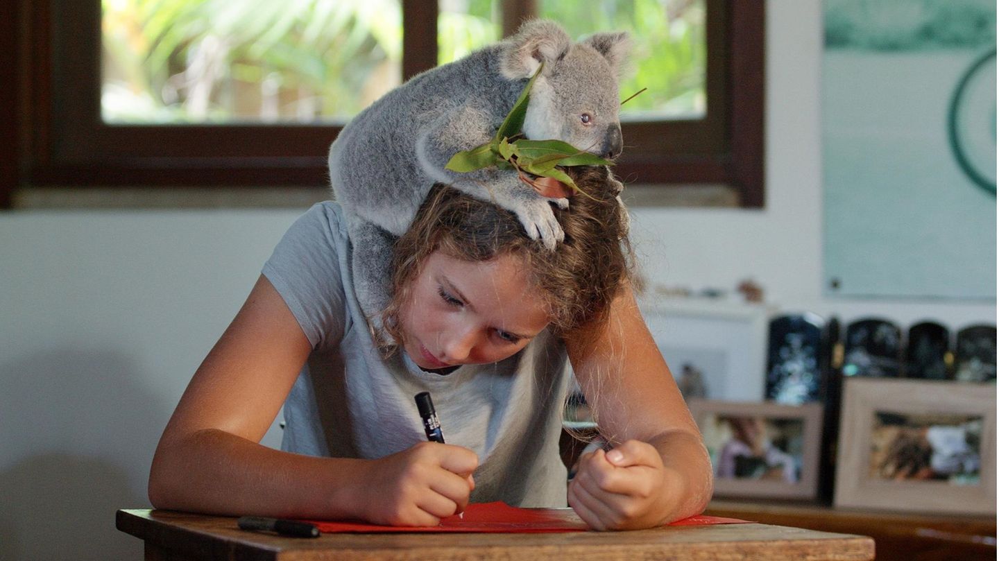 Izzy Bee, die Koala-Flüsterin