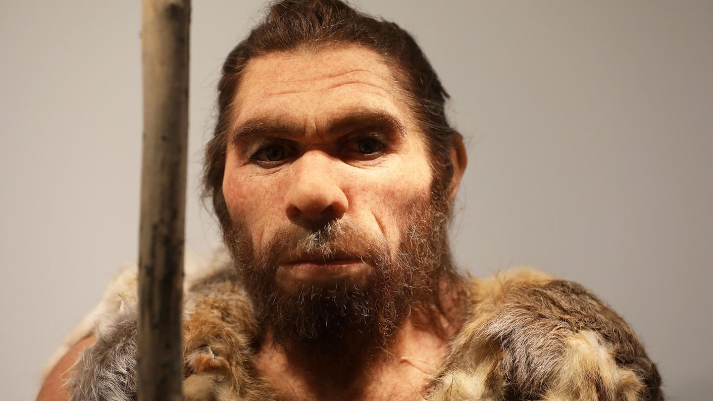Photo of Neandertalergene erhöhen das Risiko einer schweren Korona
