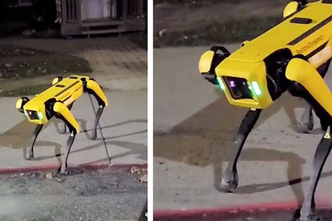 Boston Dynamics