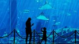 Dubai Aquarium