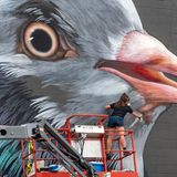 Adele Renault painting a portrait of "Eugenie", a local pigeon at 20x21 Festival, Eugene, Oregon, 2019