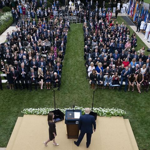 Trump im Rosengarten
