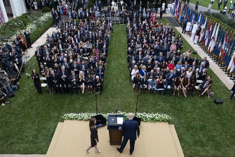 Trump im Rosengarten