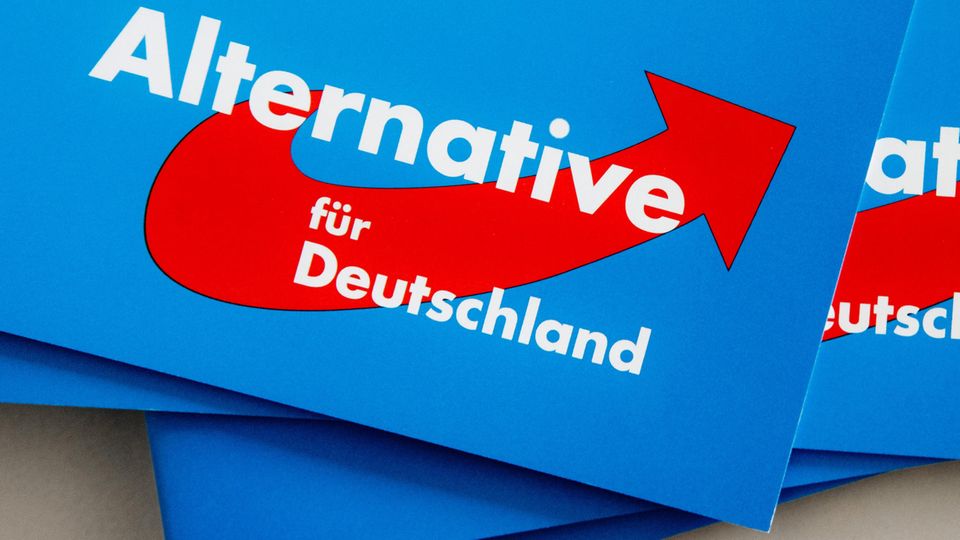 AfD verliert Zustimmung in Ostdeutschland – und rutscht von Platz eins ...