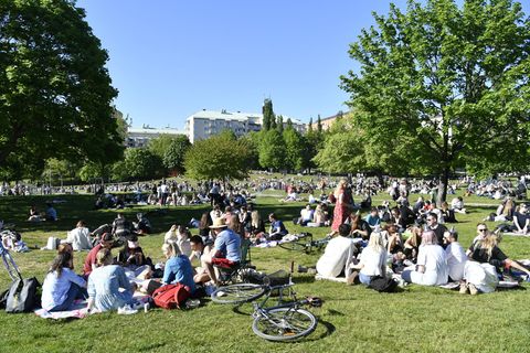 Corona: Die stolzen, sorglosen Schweden – so erlebte unser Autor den Sommer im Land des Sonderwegs