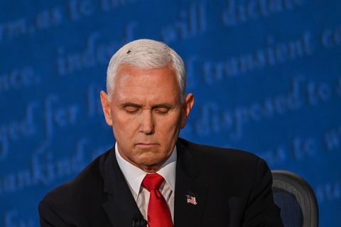Mike Pence mit einer Fliege auf dem Kopf
