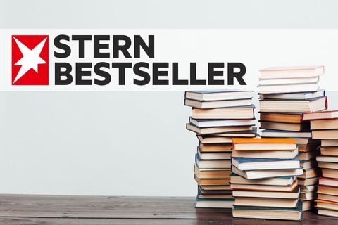 Einmal im Monat stellen wir Ihnen die stern-Bestseller-Bücher der Printausgaben vor