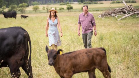 Eckart von Hirschhausen und Sarah Wiener stehen auf einer Weide mit Kühen
