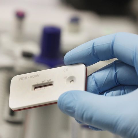 Ein Wissenschaftler zeigt einen Corona Schnelltest