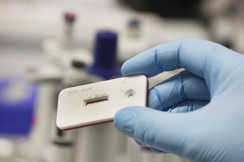 Ein Wissenschaftler zeigt einen Corona Schnelltest