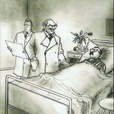 "Keine Angst – so eine kleine Operation mache ich mit verbundenen Augen, Fräulein Schulz."