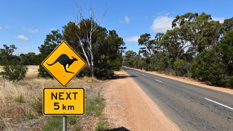 On the Road in Australien: Seit einem halben Jahr gilt ein umfassendes Einreiseverbot für alle ausländischen Reisenden.