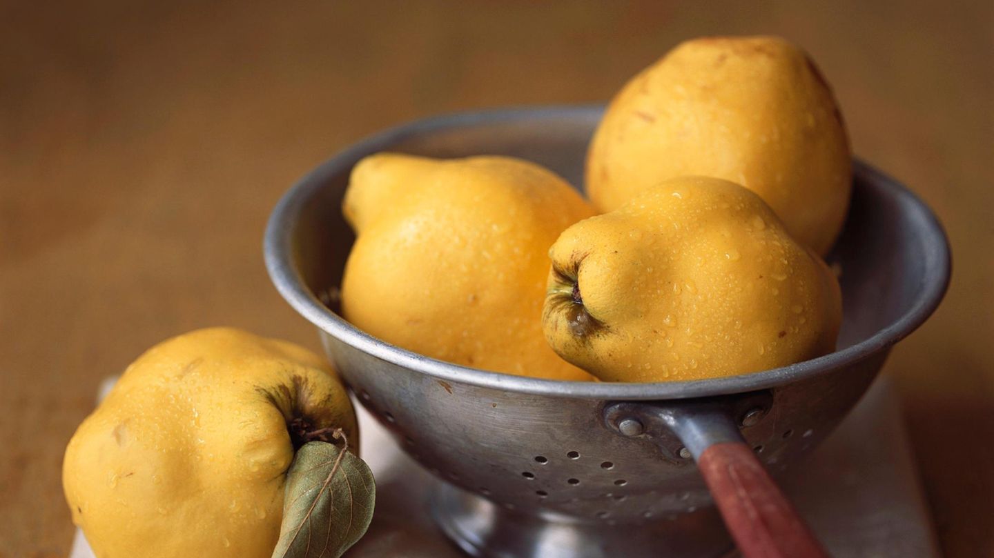 VOE GESUND LEBEN 5/2010 BS 100Frische Quitten im KüchensiebUNBEARBEITETE ORIGINALDATEI Quitten
