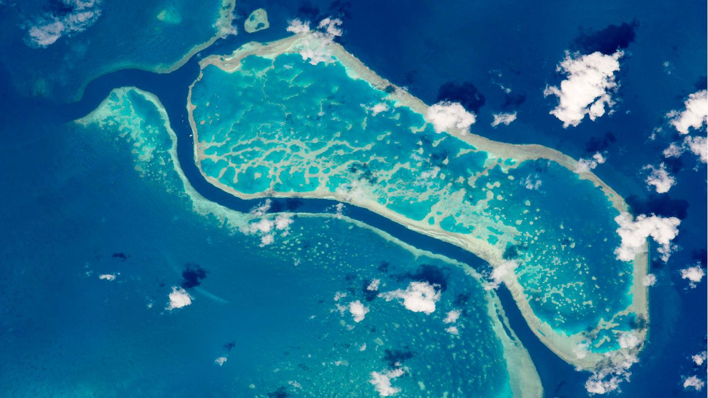 Great Barrier Reef in Australien