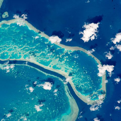Great Barrier Reef in Australien