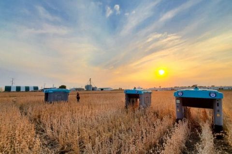 Google Farm-Roboter Die Google-Roboter streifen durch ein Weizenfeld.