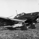 Der Kanonenvogel verfügte nur über zwei Mal zwölf Schuss. 