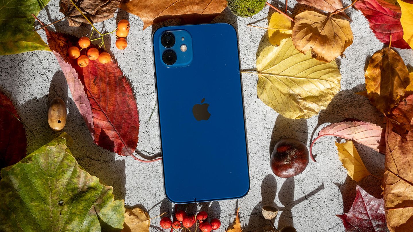 Das iPhone 12 gibt es in der Farbe Blau