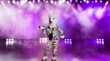 The Masked Singer