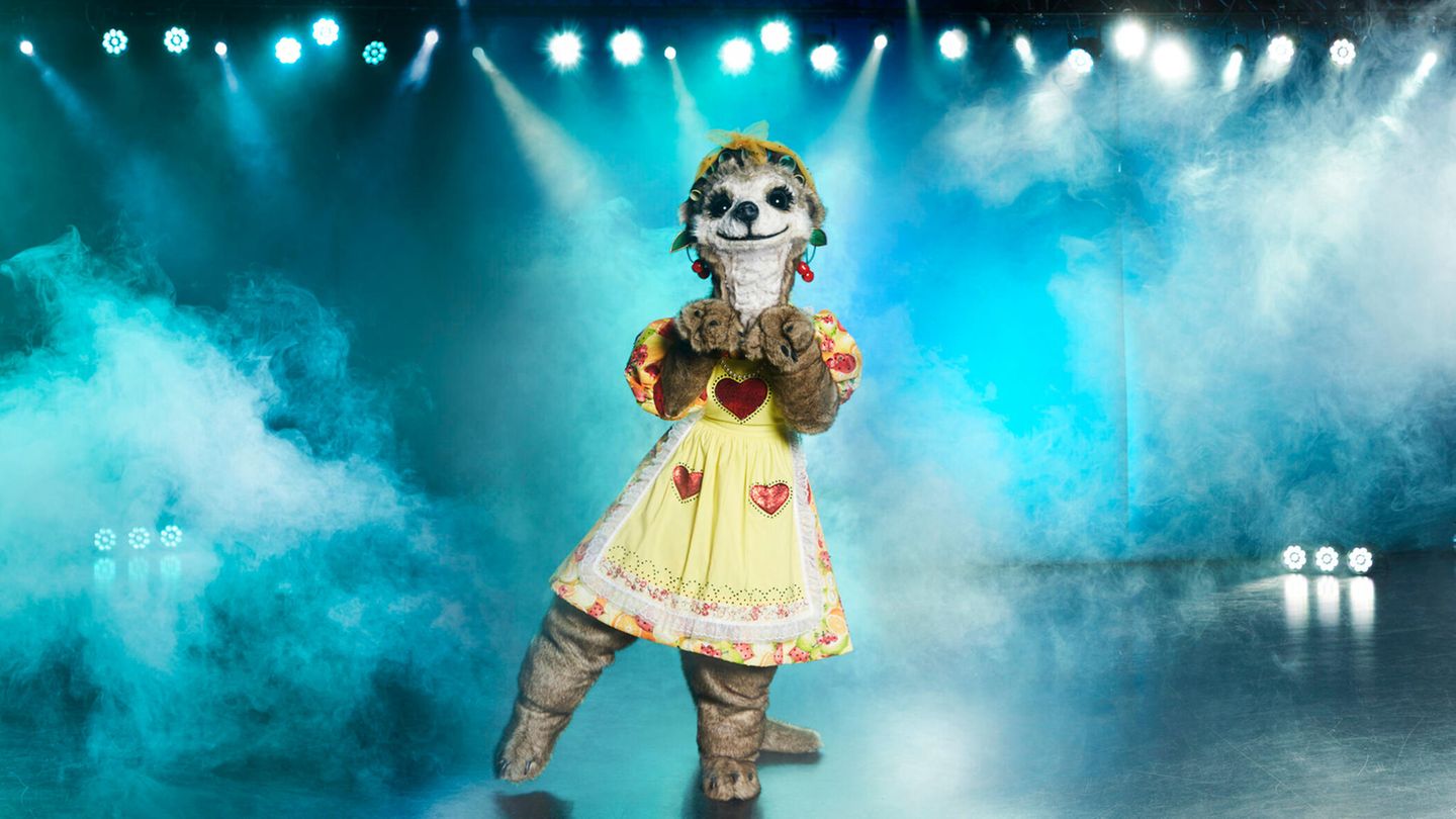 The Masked Singer The Masked Singer