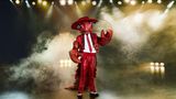 The Masked Singer